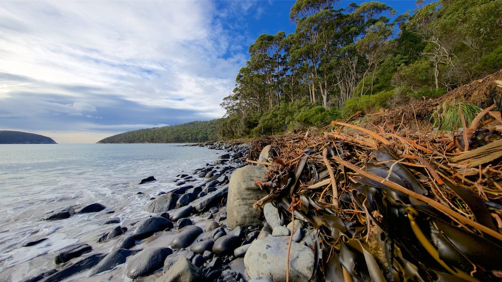 Tasmanische Halbinsel welches beinhaltet Bucht oder Hafen, allgemeine Küstenansicht und Steinstrand