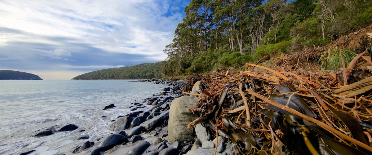 Tasmanische Halbinsel welches beinhaltet Bucht oder Hafen, allgemeine Küstenansicht und Steinstrand