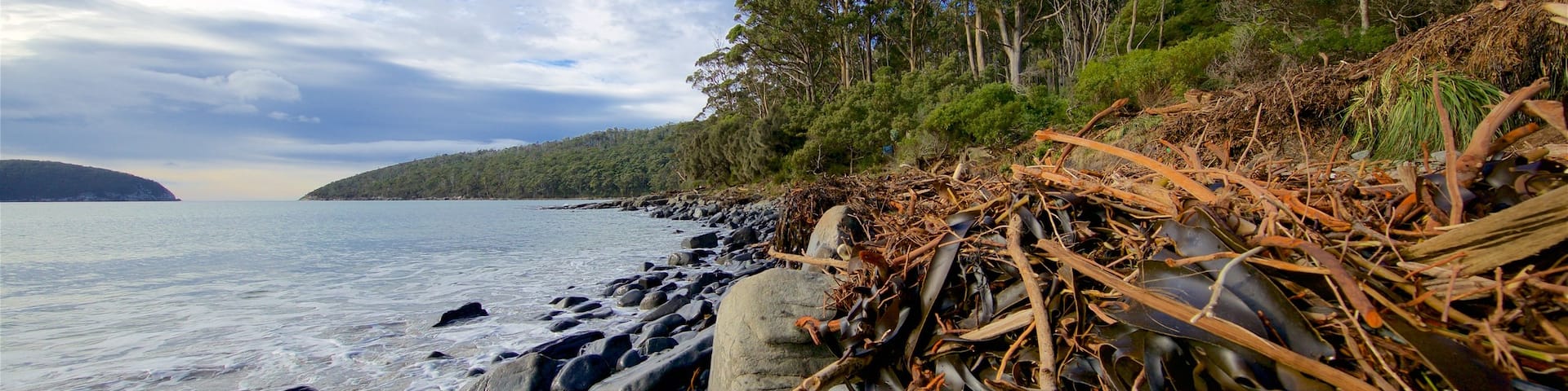 Tasman Peninsula which includes a pebble beach, general coastal views and a bay or harbor