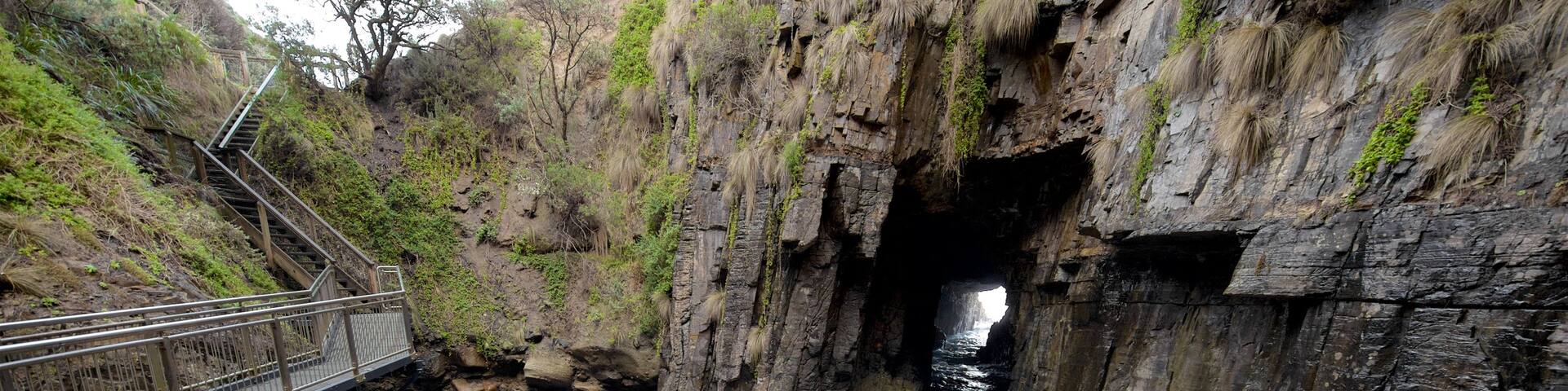 Remarkable Cave showing a sandy beach, rocky coastline and caves