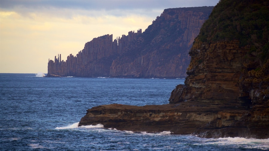 Remarkable Cave which includes rocky coastline