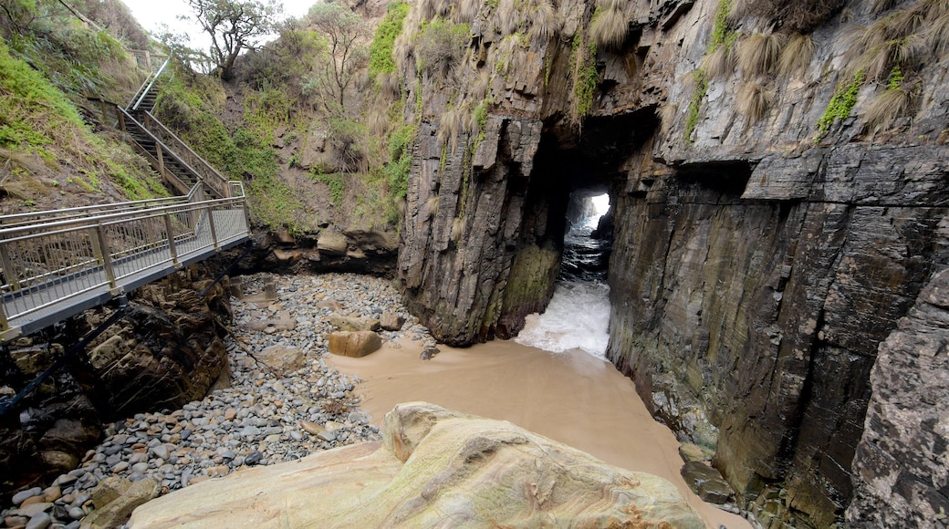 Remarkable Cave showing rocky coastline, a sandy beach and caves