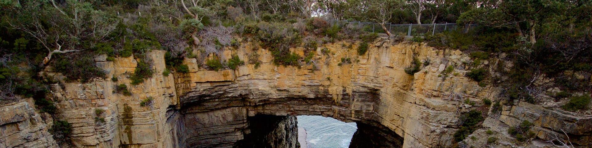 Tasman Peninsula which includes a gorge or canyon, caves and rocky coastline
