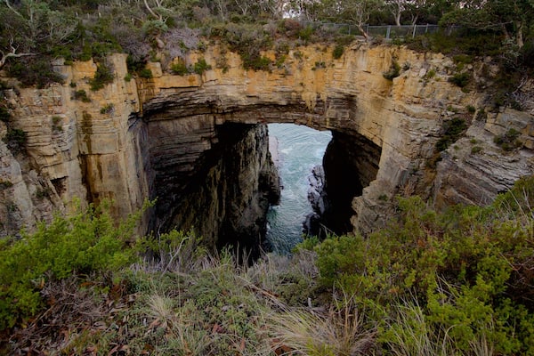 Península de Tasmania que incluye cuevas, un barranco o cañón y costa escarpada