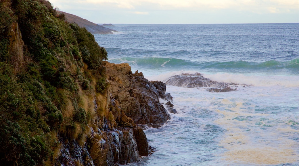 Remarkable Cave which includes surf and rugged coastline