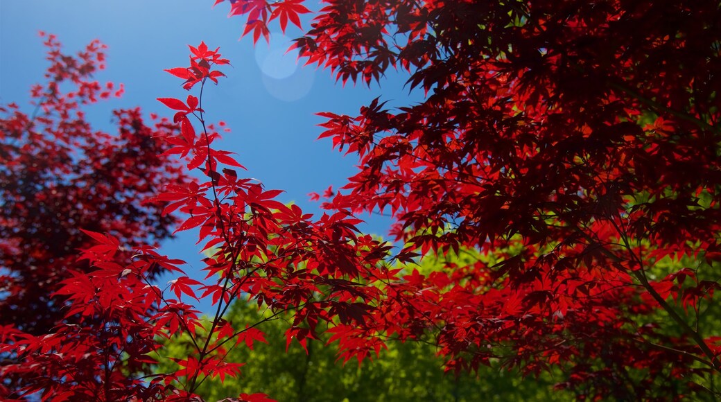 Red Butte Garden and Arboreteum