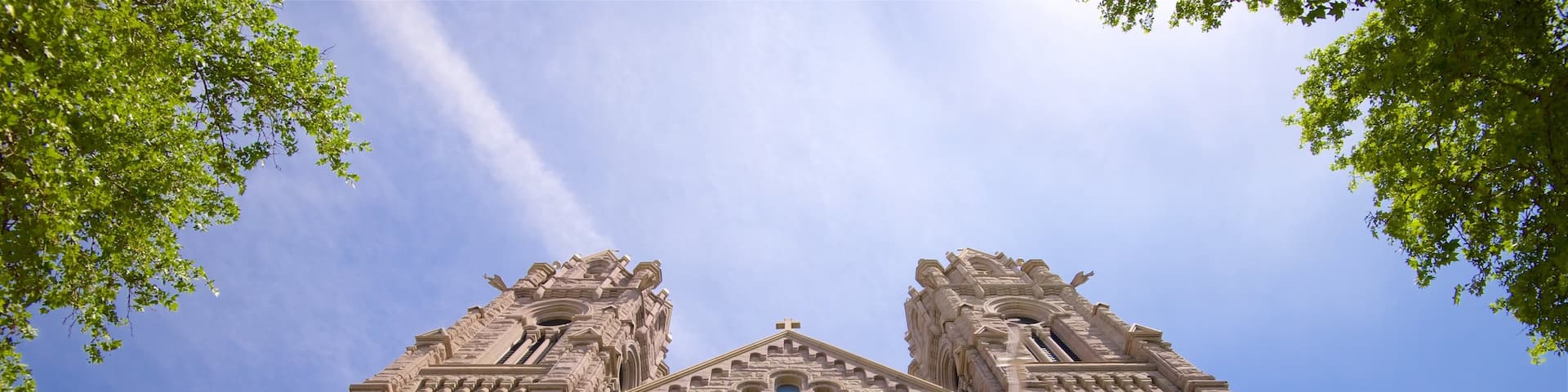 Cathédrale Sainte-Madeleine mettant en vedette église ou cathédrale et patrimoine architectural