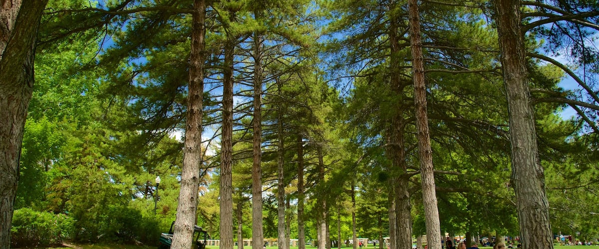 Liberty Park which includes picnicking and a park