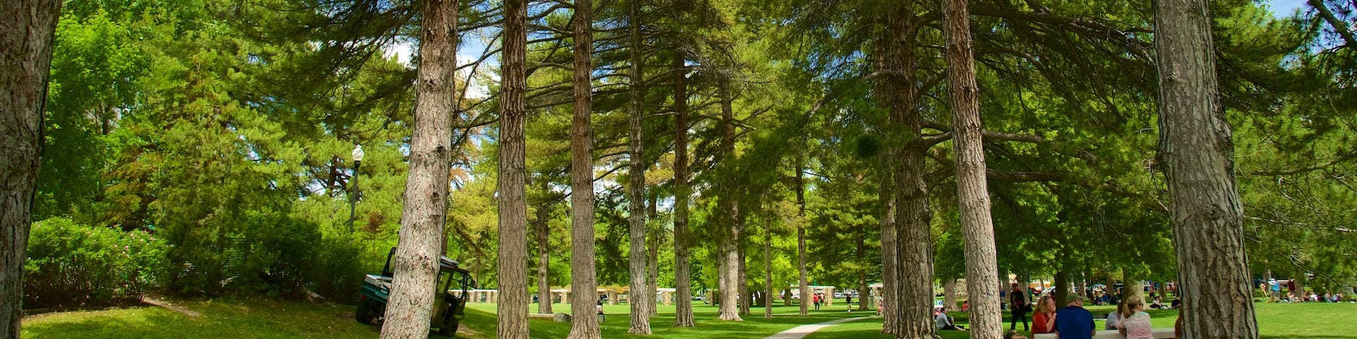Liberty Park featuring picnicing and a garden