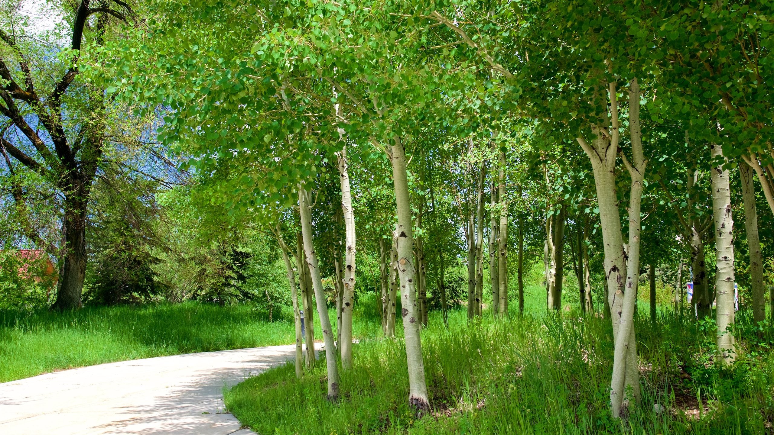 Park City ofreciendo un parque