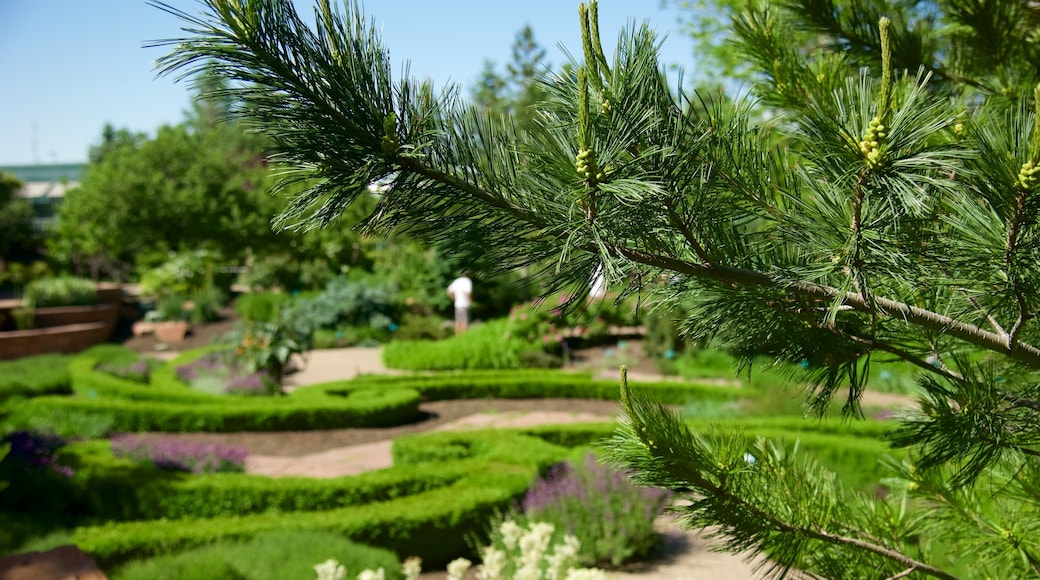 红丘花园与植物园