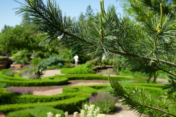 Red Butte Garden and Arboretum featuring a garden