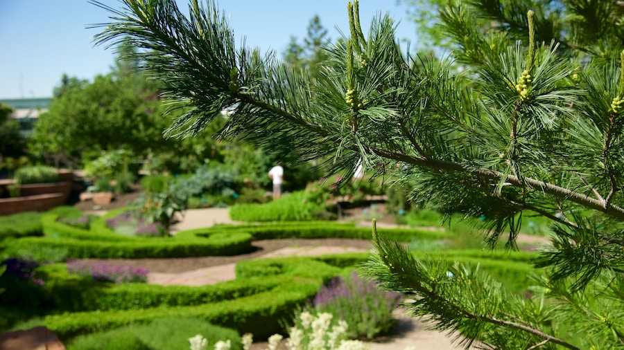 Red Butte Garden and Arboretum