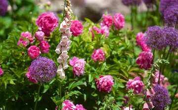 ライオン ハウス ソルト レイク シティ エクスペディア ライオン ハウス ソルト レイク シティ エクスペディア