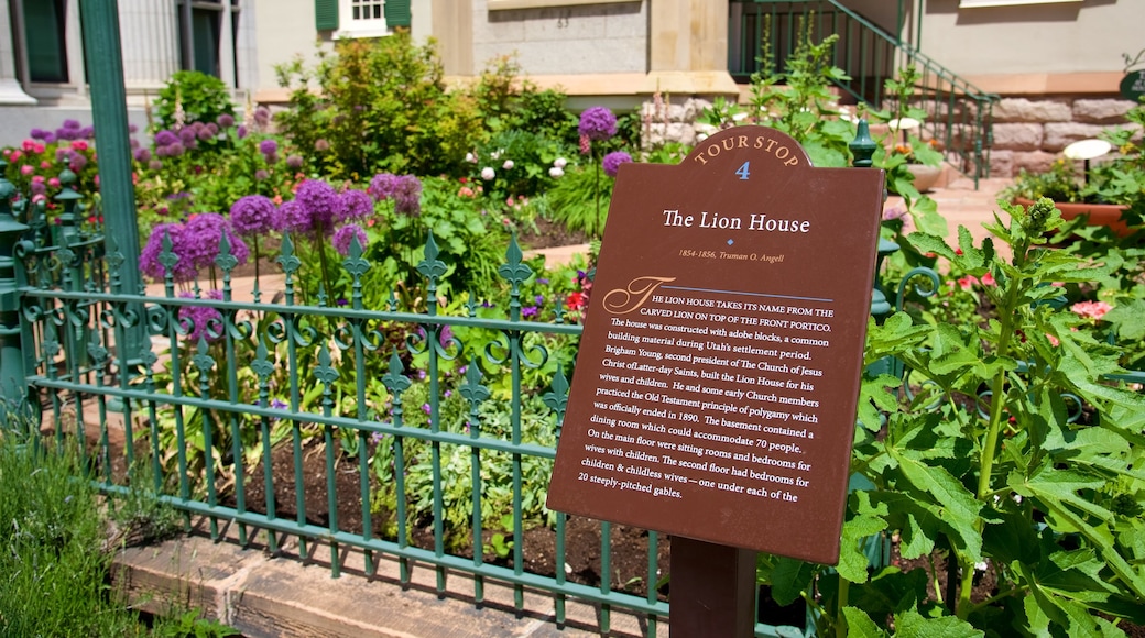 Lion House which includes signage and flowers