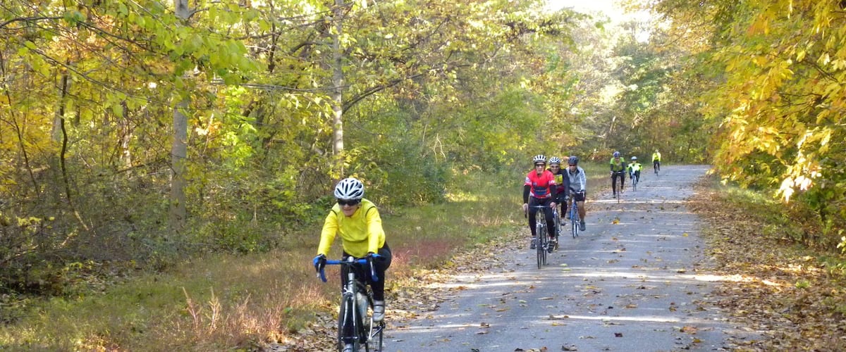 Illinois Meridional que incluye bosques, ciclismo y los colores del otoño