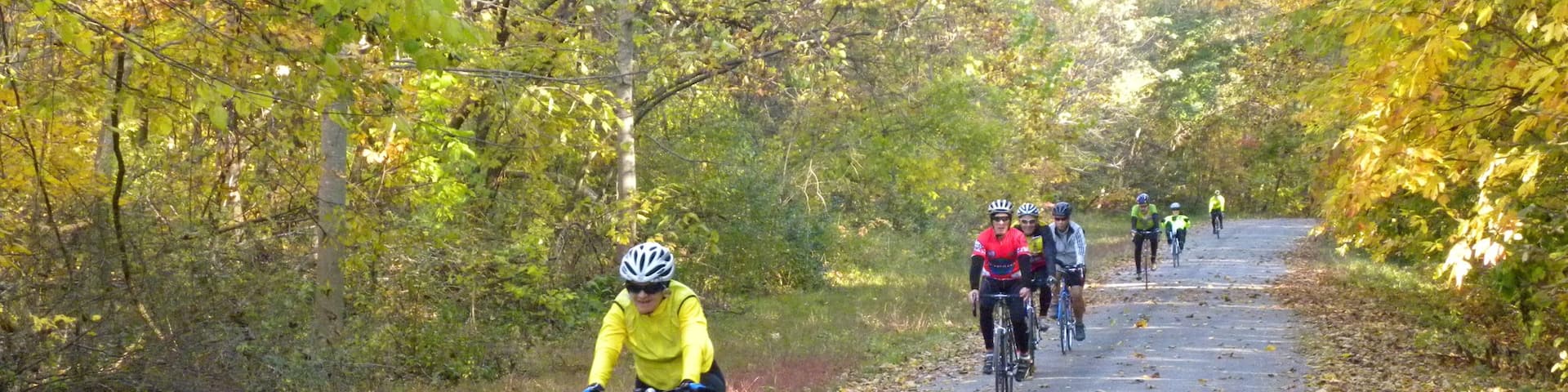 Southern Illinois welches beinhaltet Waldmotive, Fahrradfahren und Herbstfarben