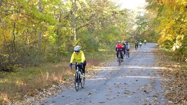 Southern Illinois which includes autumn colours, cycling and forests