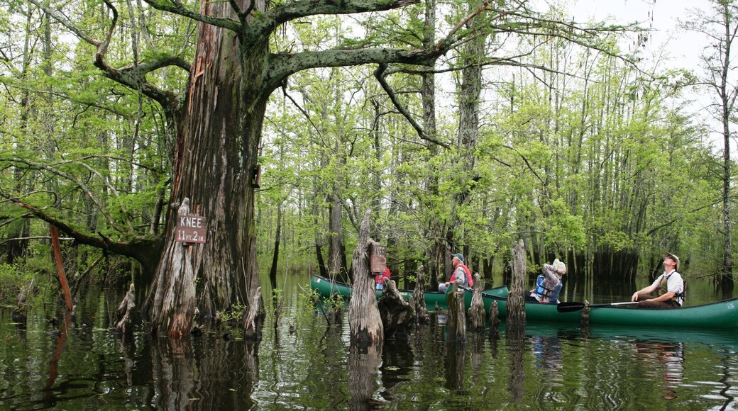 Photo fournie par Southernmost Illinois Tourism Bureau