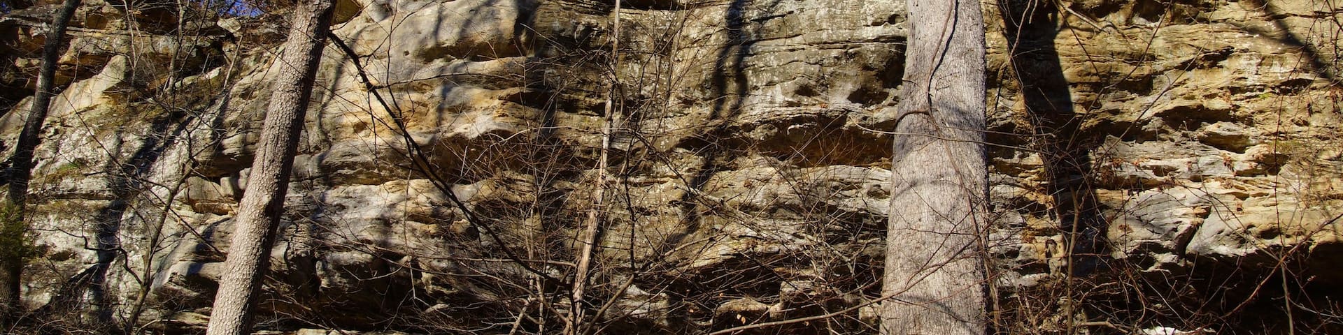 Southern Illinois