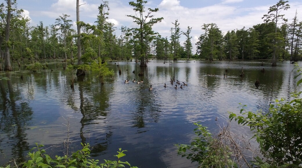 Photo provided by Southernmost Illinois Tourism Bureau
