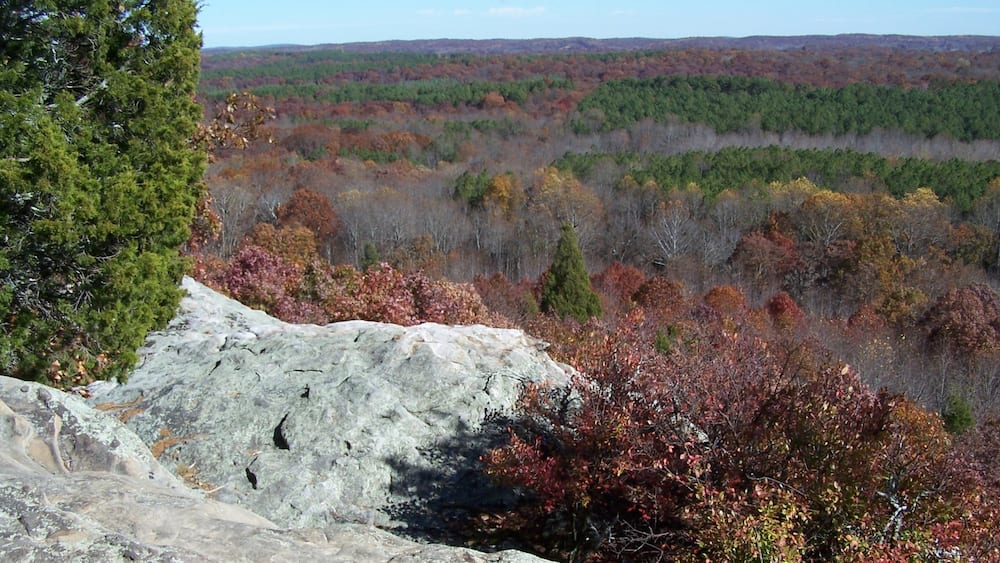 Sud de l\'Illinois mettant en vedette forêts et panoramas
