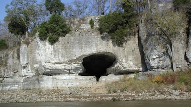 Illinois meridionale che include fiume o ruscello e speleologia