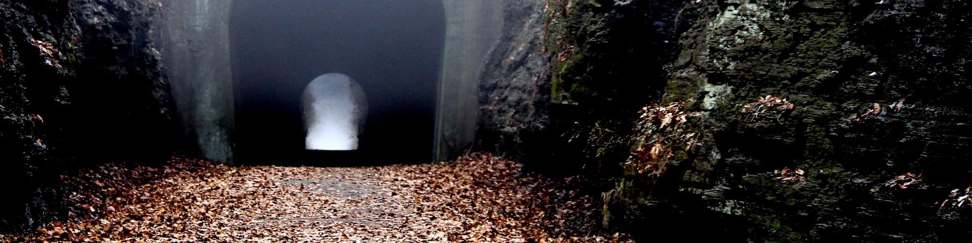 Southern Illinois which includes autumn leaves and forests