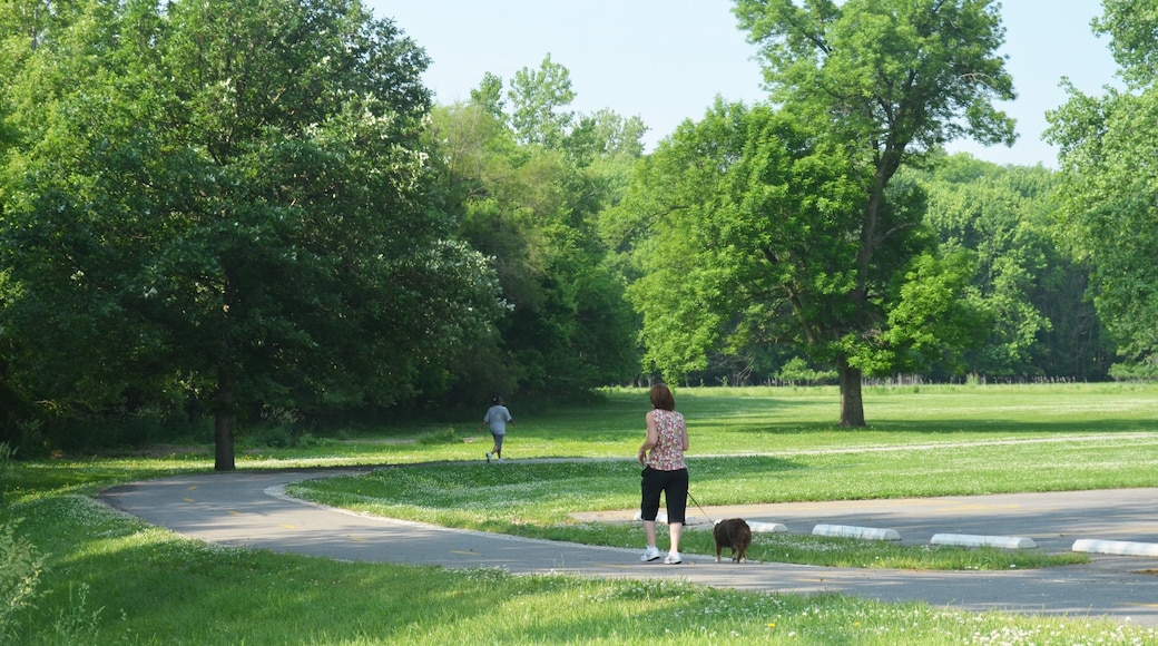 Photo fournie par Decatur Park District