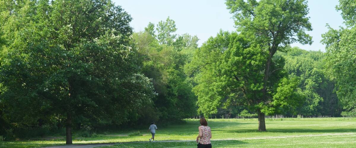 Decatur que incluye senderismo o caminata y un parque