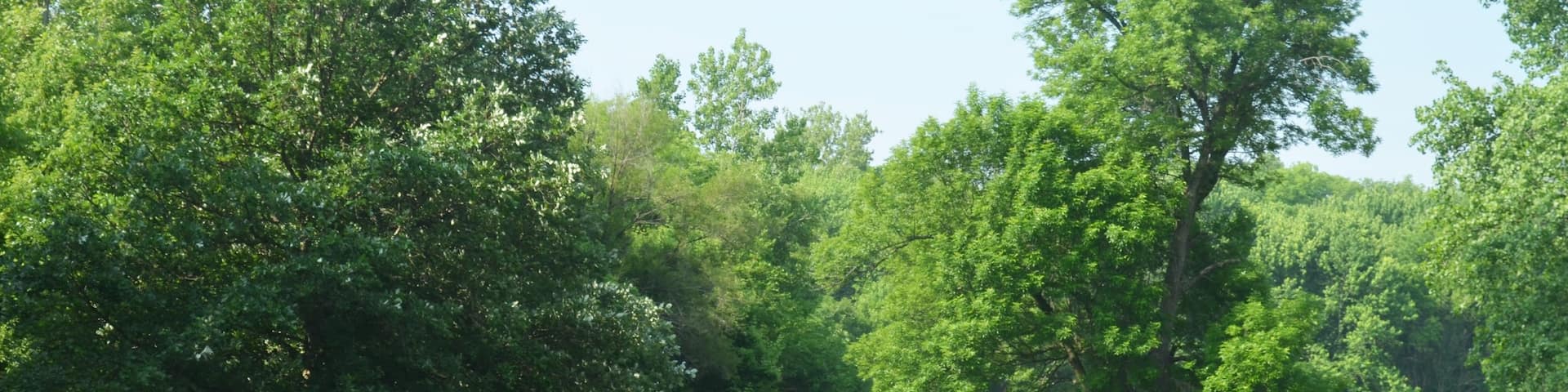 Decatur qui includes randonnée ou marche à pied et parc