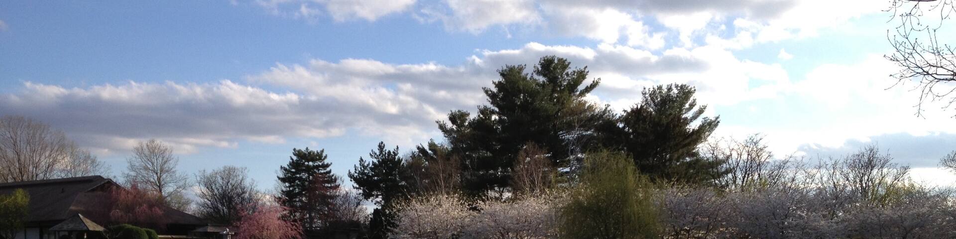 Champaign featuring a lake or waterhole and a garden