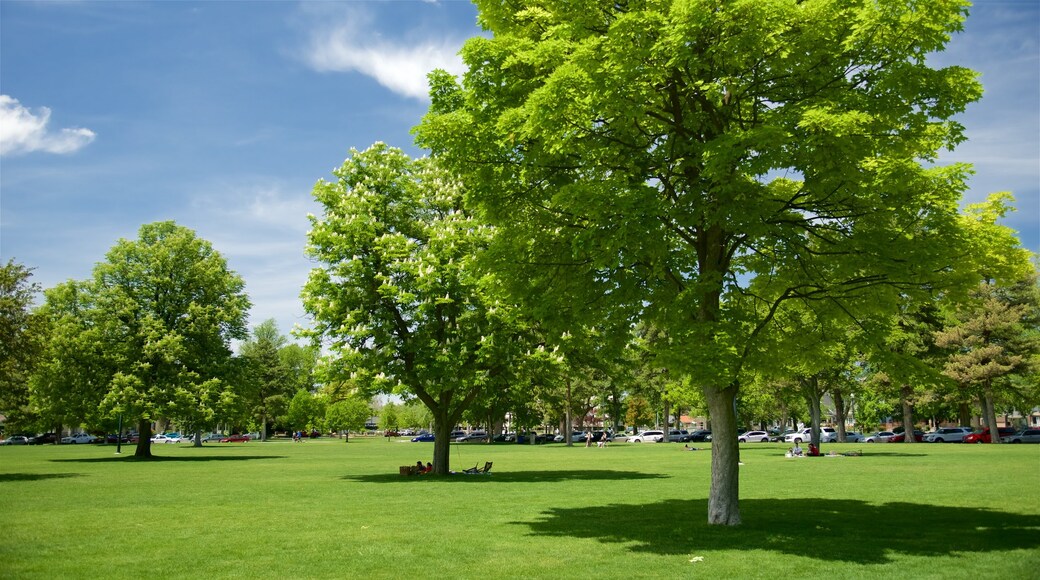 Liberty Park showing a garden