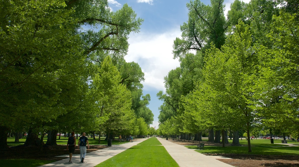 Liberty Park featuring a park and forest scenes