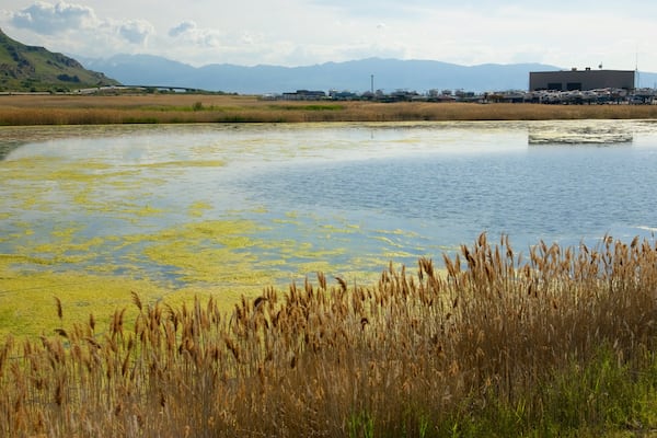 Parc d\'état de Great Salt Lake montrant lac ou étang