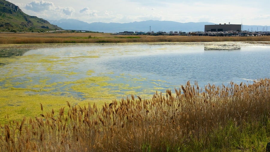 Great Salt Lake State Park som viser en sø eller et vandhul