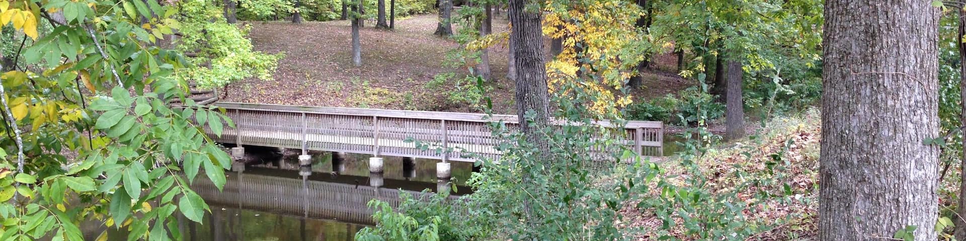 Lake Murphysboro State Park which includes forests and a river or creek