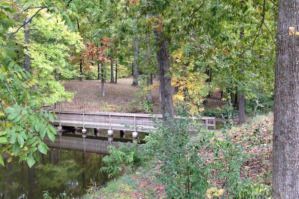 Lake Murphysboro State Park which includes forests and a river or creek