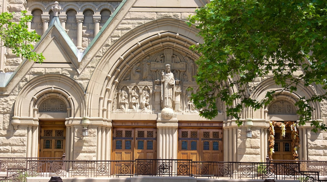 Cathedral of the Madeleine showing heritage architecture