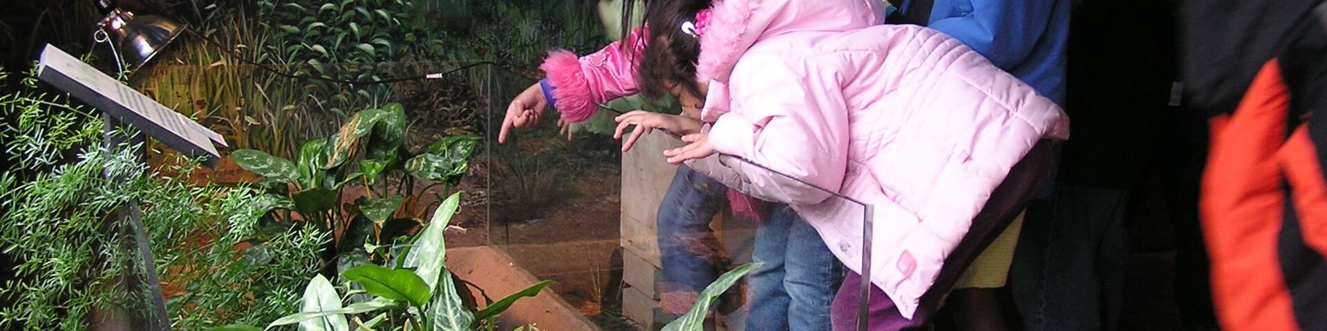 Champaign as well as children