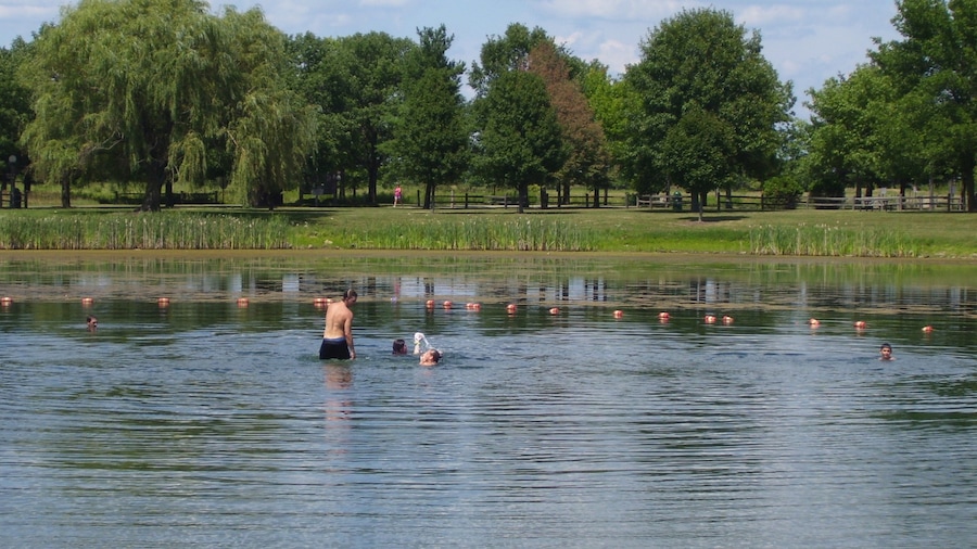 Champaign featuring a lake or waterhole as well as a small group of people