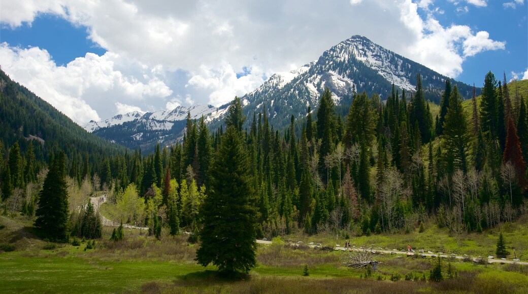 Salt Lake City trong đó bao gồm những ngọn núi và cảnh thanh bình