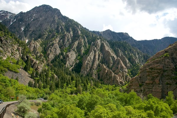 Salt Lake City showing a gorge or canyon and tranquil scenes