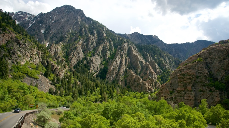 Salt Lake City which includes tranquil scenes and a gorge or canyon