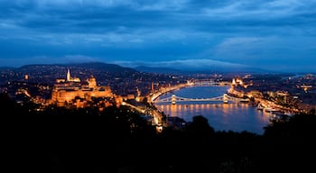 Gellert Hill showing a city, night scenes and a river or creek