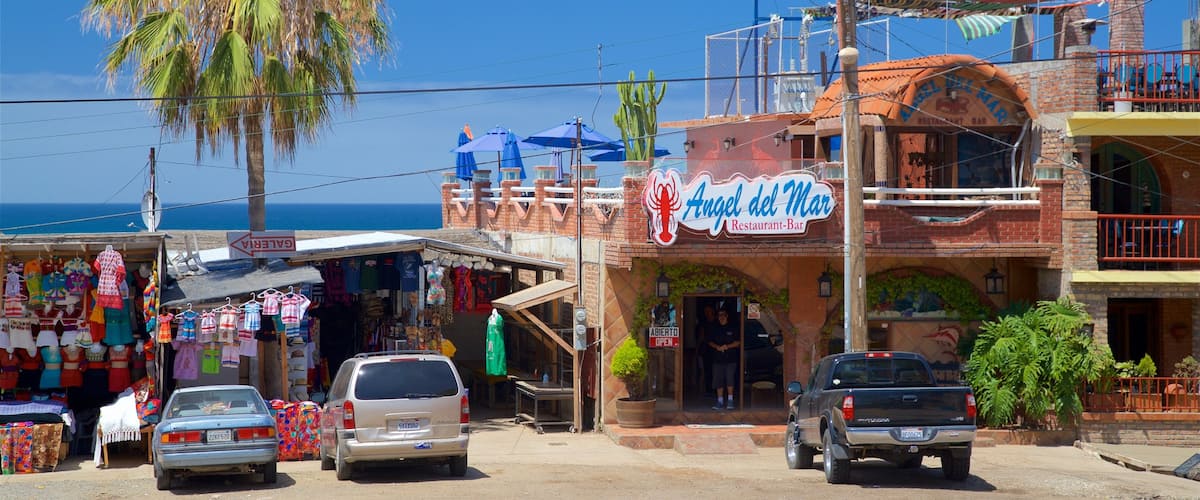 Mexico showing tropical scenes and a coastal town