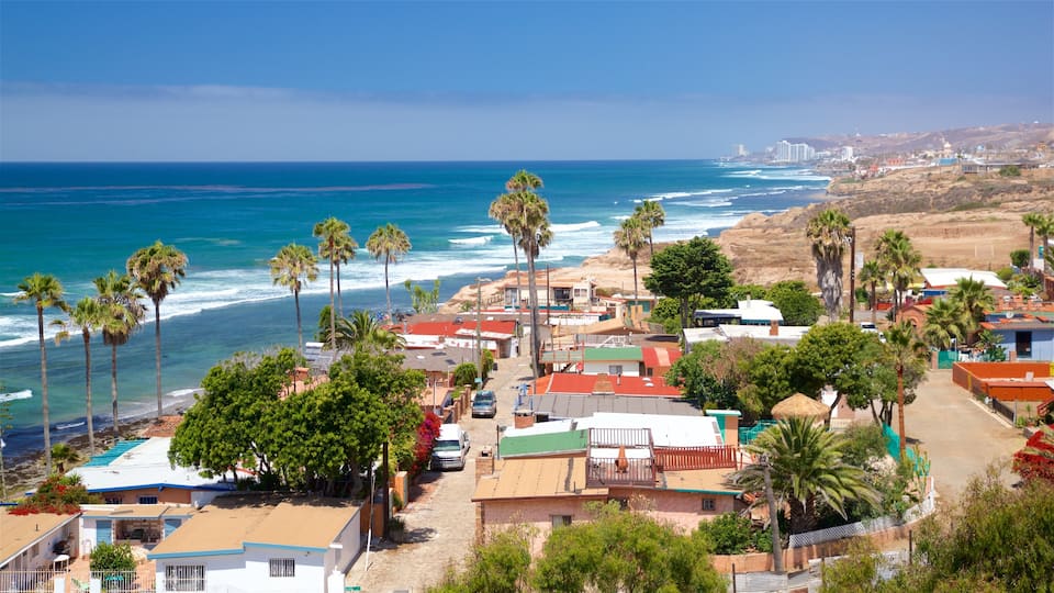 Puerto Nuevo showing tropical scenes, a coastal town and general coastal views
