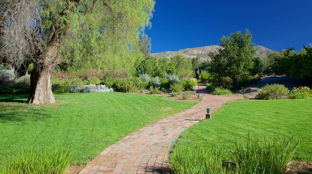 Tecate which includes a garden