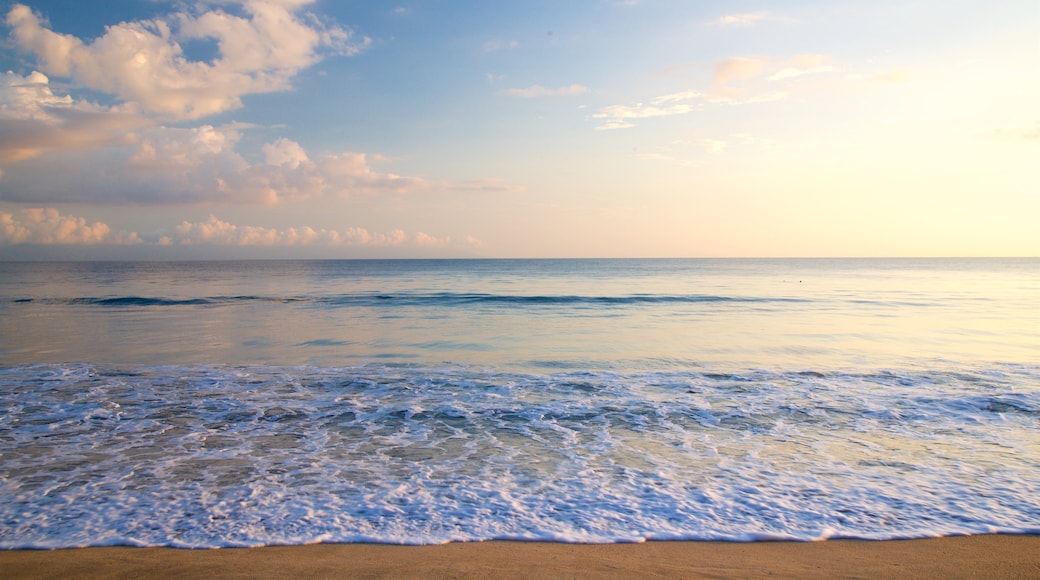 Nuevo Vallarta Strand som viser bølger, en sandstrand og en solnedgang