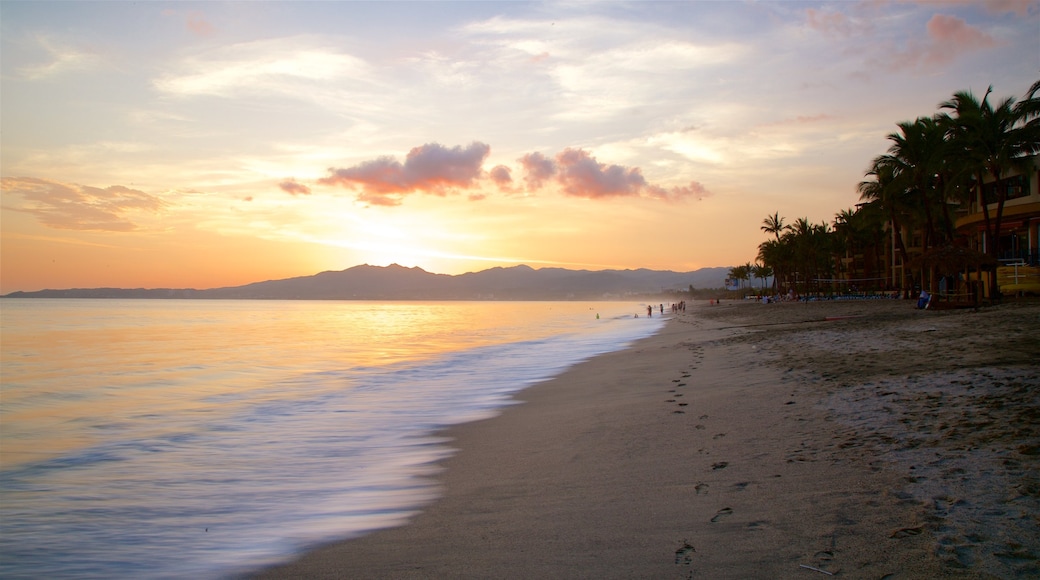 Nuevo Vallarta Beach showing tropical scenes, a sunset and a beach